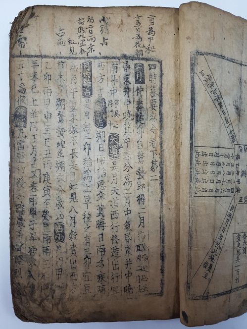 华夏唐代农书最陈旧本子现身韩国 或被奉为国宝